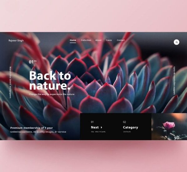 5 Page Website with Free  Webhosting